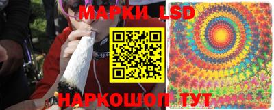 ешки Сланцы