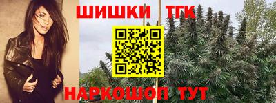 ешки Сланцы