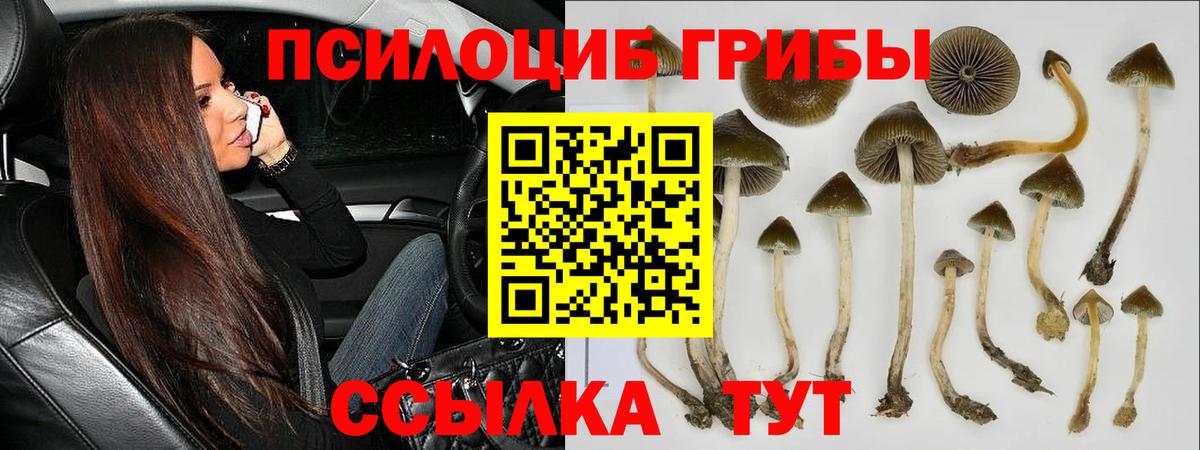 Галлюциногенные грибы GOLDEN TEACHER Алексин