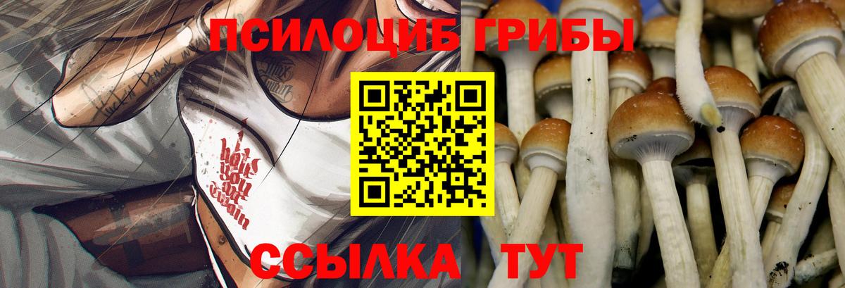 Галлюциногенные грибы Magic Shrooms  Вход с VPN  Алексин 